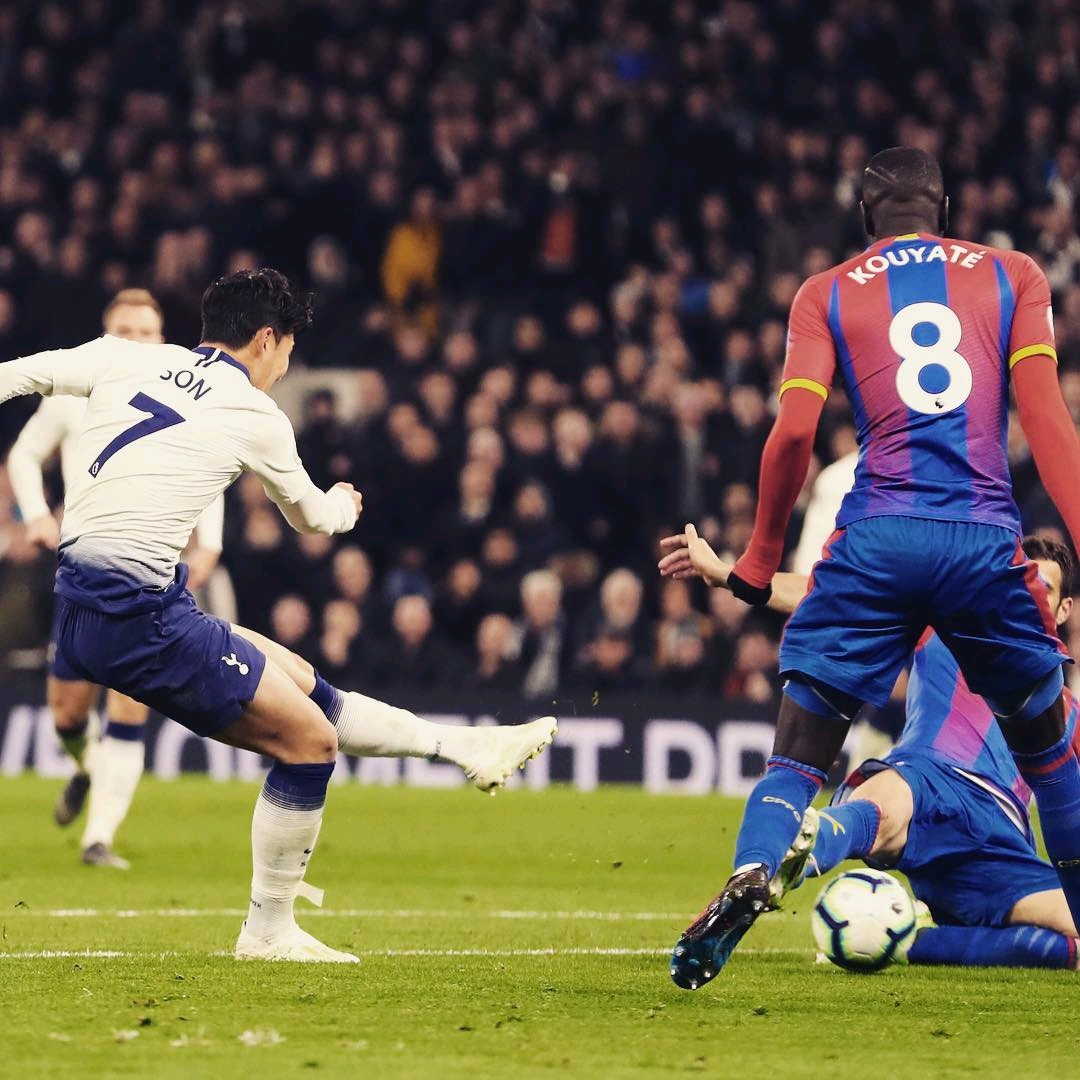 可能会不自 可能会不自